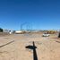  Land for rent in Hermosillo, Sonora, Hermosillo, Sonora