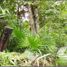  Land for sale in Cancun, Quintana Roo, Cancun