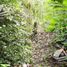  Land for sale in Cancun, Quintana Roo, Cancun
