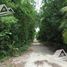  Land for sale in Cancun, Quintana Roo, Cancun