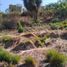  Land for sale in Huitzilac, Morelos, Huitzilac
