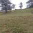  Land for sale in El Carmen De Viboral, Antioquia, El Carmen De Viboral