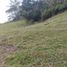  Land for sale in El Carmen De Viboral, Antioquia, El Carmen De Viboral