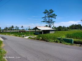  Land for sale in Yogyakarta, Pakem, Sleman, Yogyakarta