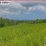  Land for sale in Selemadeg, Tabanan, Selemadeg