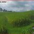  Land for sale in Selemadeg, Tabanan, Selemadeg