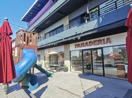 51 m² Office for rent in Querétaro, El Marques, Querétaro