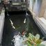 11 chambre Maison for sale in Yogyakarta, Depok, Sleman, Yogyakarta