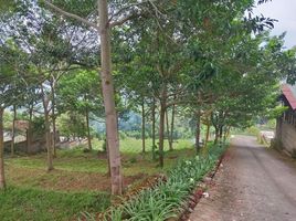 Terreno (Parcela) en venta en Lembang, West Jawa, Lembang, Bandung, West Jawa