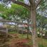  Terreno (Parcela) en venta en Lembang, West Jawa, Lembang, Bandung, West Jawa