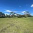  Land for sale in El Carmen De Viboral, Antioquia, El Carmen De Viboral