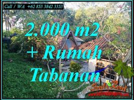  Land for sale in Selemadeg, Tabanan, Selemadeg