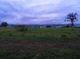  Land for sale in Cauca, Popayan, Cauca