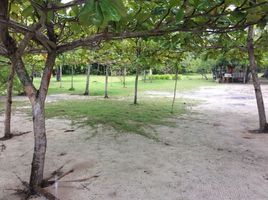  토지을(를) 세부, 중앙 비 사야에서 판매합니다., Lapu-Lapu City, 세부