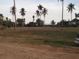  Land for sale in San Pascual, Batangas, San Pascual