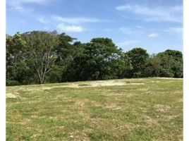  Terreno (Parcela) en alquiler en Ciudad de Panamá, Panamá, San Francisco, Ciudad de Panamá