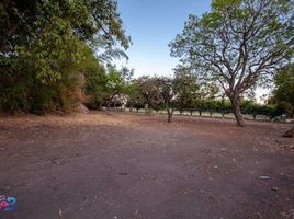  Terreno (Parcela) en venta en Chapala, Jalisco, Chapala