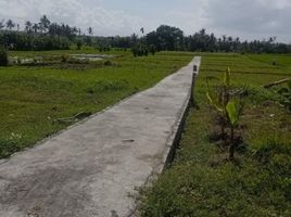  Terrain for sale in Ginyar, Gianyar, Ginyar