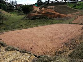  Terreno (Parcela) en venta en San Vicente, Antioquia, San Vicente