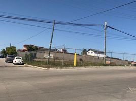  Land for sale in Villa De Cos, Zacatecas, Villa De Cos, Zacatecas