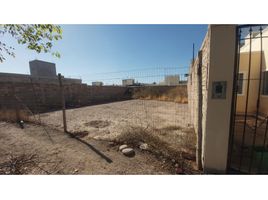  Land for sale in Maipu, Mendoza, Maipu