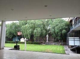 30 m² Office for rent in Alvaro Obregon, Ciudad de México, Alvaro Obregon