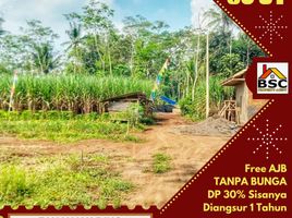  Land for sale in Kepanjen, Malang Regency, Kepanjen