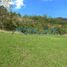  Grundstück zu verkaufen in Valle De Bravo, Mexico, Valle De Bravo