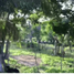  Land for sale in Champoton, Campeche, Champoton