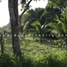  Land for sale in Champoton, Campeche, Champoton