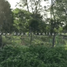  Land for sale in Champoton, Campeche, Champoton