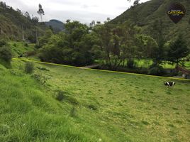  Terreno (Parcela) en venta en Tarqui, Cuenca, Tarqui