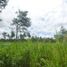  Land for sale in Boquete, Chiriqui, Alto Boquete, Boquete