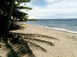  Grundstück zu verkaufen in Negros Oriental, Negros Island Region, Dauin