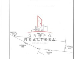  Terreno (Parcela) en venta en Aldama, Chihuahua, Aldama