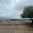  Land for sale in Sayula, Jalisco, Sayula
