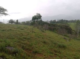  Terreno (Parcela) en venta en Santander, Bucaramanga, Santander