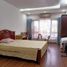 5 chambre Villa for sale in Cau Giay, Ha Noi, Quan Hoa, Cau Giay