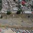  Grundstück zu verkaufen in Guadalajara, Jalisco, Guadalajara, Jalisco