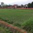  Land for sale in Gamping, Sleman, Gamping