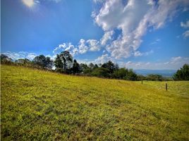  Terreno (Parcela) en venta en La Ceja, Antioquia, La Ceja