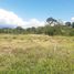  Land for sale in Belalcazar, Caldas, Belalcazar