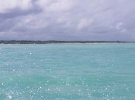  Grundstück zu verkaufen in Celestun, Yucatan, Celestun
