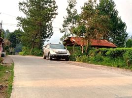  Land for sale in Puncak Gunung Mas Tea Gardens, Cisarua, Cisarua