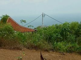  Land for sale in Pandawa Beach, Kuta, Kuta