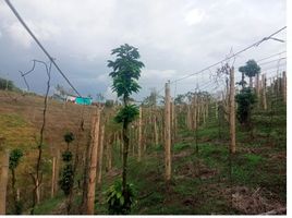 Grundstück zu verkaufen in Santa Rosa De Cabal, Risaralda, Santa Rosa De Cabal, Risaralda