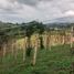  Grundstück zu verkaufen in Santa Rosa De Cabal, Risaralda, Santa Rosa De Cabal, Risaralda