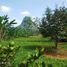  Land for sale in Bogor Selatan, Bogor, Bogor Selatan