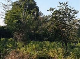  Land for sale in Maros, South Sulawesi, Bantimurung, Maros