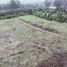  Land for sale in Ponco Kusumo, Malang Regency, Ponco Kusumo